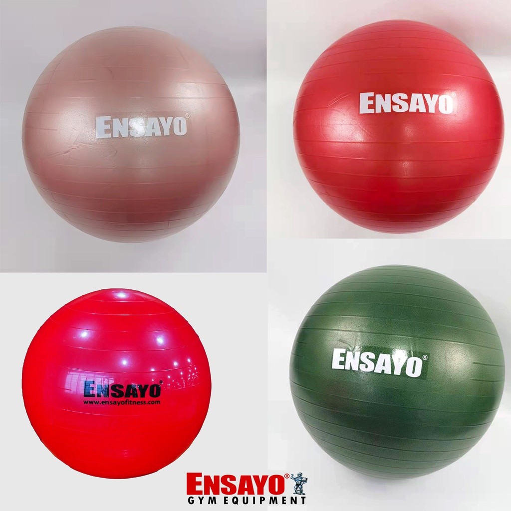 ENSAYO Stability Ball 40 to 75 cm Core/Swiss Balance Gym Rehab Balls ...