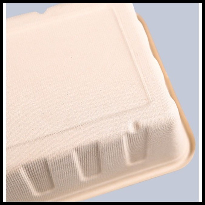 [5PCS] 2500ML Sugarcane Bagasse Party Trays Pulp Eco-Friendly Food ...