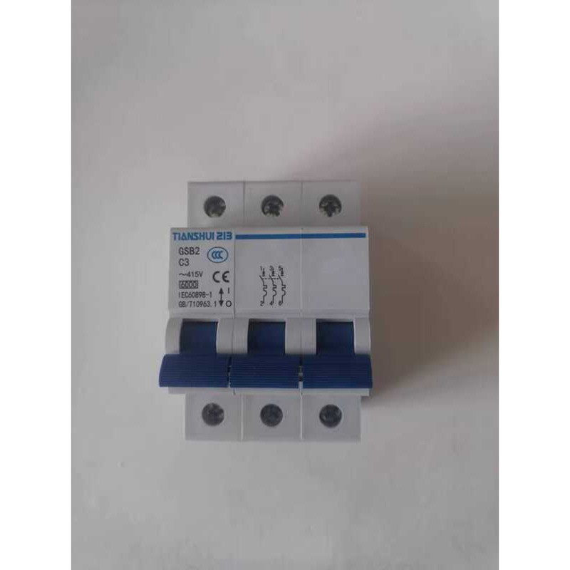 Tianshui 213 Small Circuit Breaker GSB2-3P C3 | Shopee Philippines