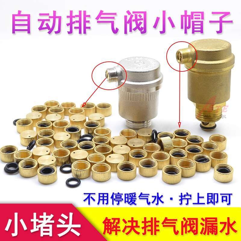 Automatic Exhaust Valve Plug Cap Guide Nozzle Screw Small Cap Plug Vent ...