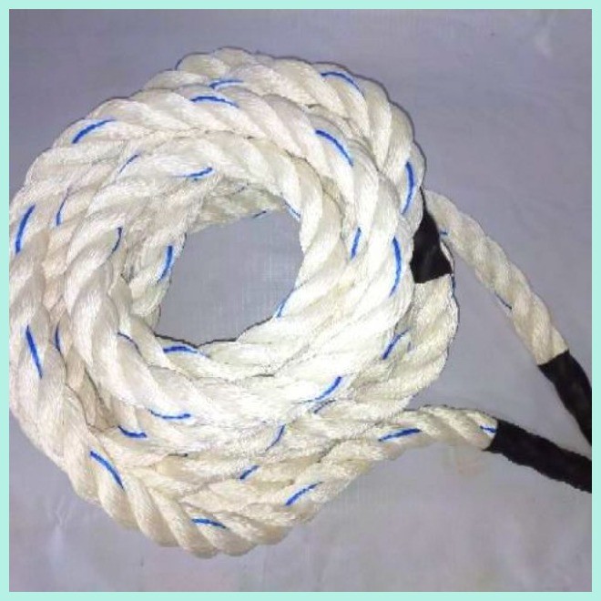 Battle Rope by Coach-A 40 ft x 1.5 inch with Free Door Anchor | Shopee ...