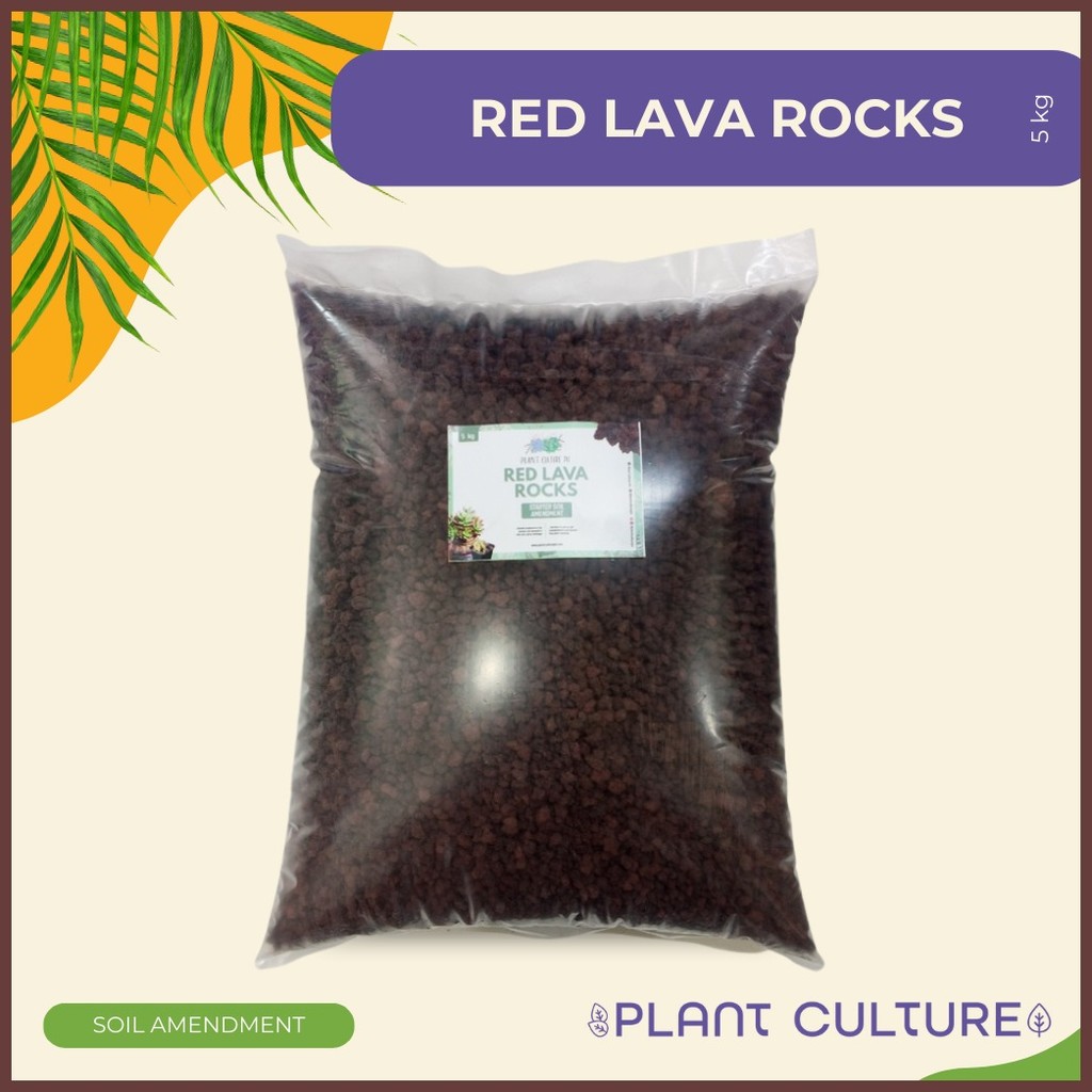 ∟ Scoria Red Lava Rocks 5Kg for Plants, Cactus, Succulents, Aquarium ...