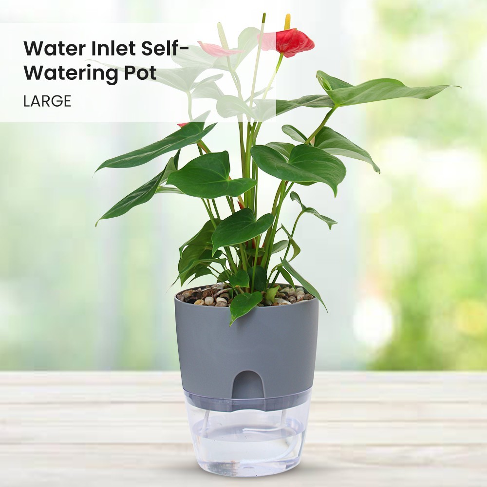 LOCAUPIN Water Inlet Self Watering Pot Indoor Outdoor Flower Plants ...