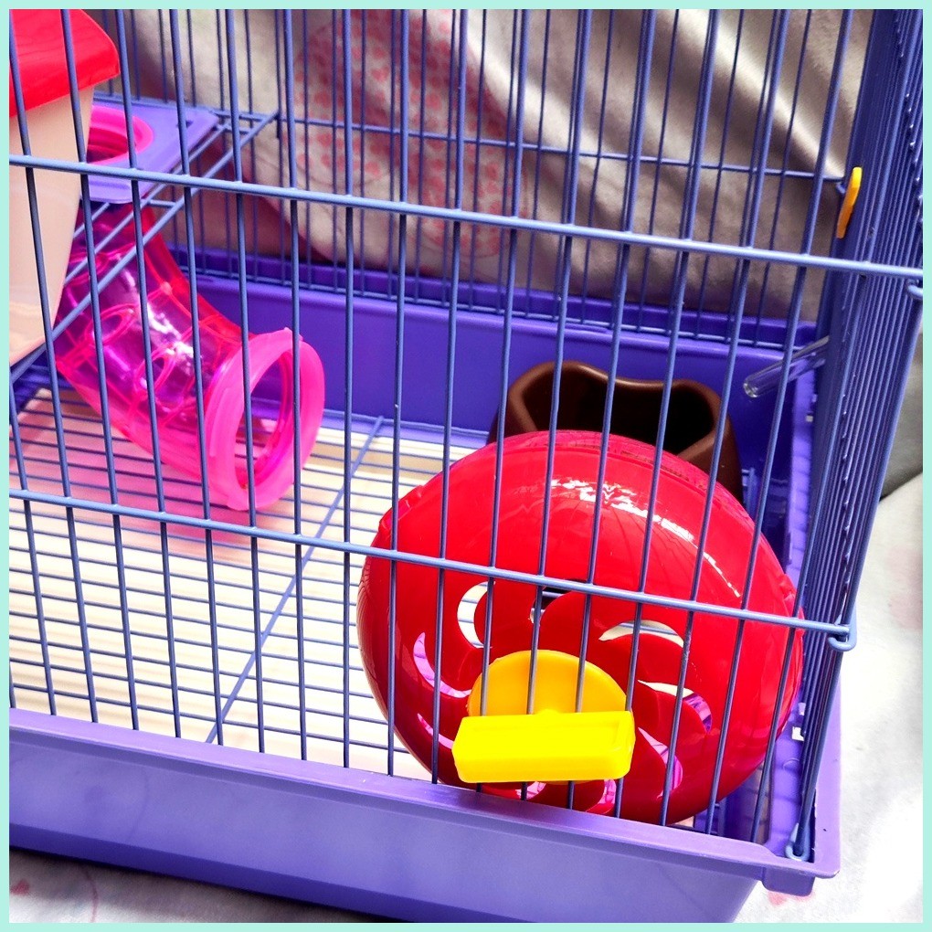 Hamster Cage 2 Layer Set Color Purple Cage-35x28x38cm | Shopee Philippines