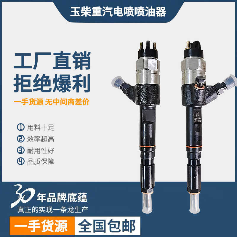 Heavy Oil Injector Nozzle P K A F CS Compatible with Yunnei Loader ...