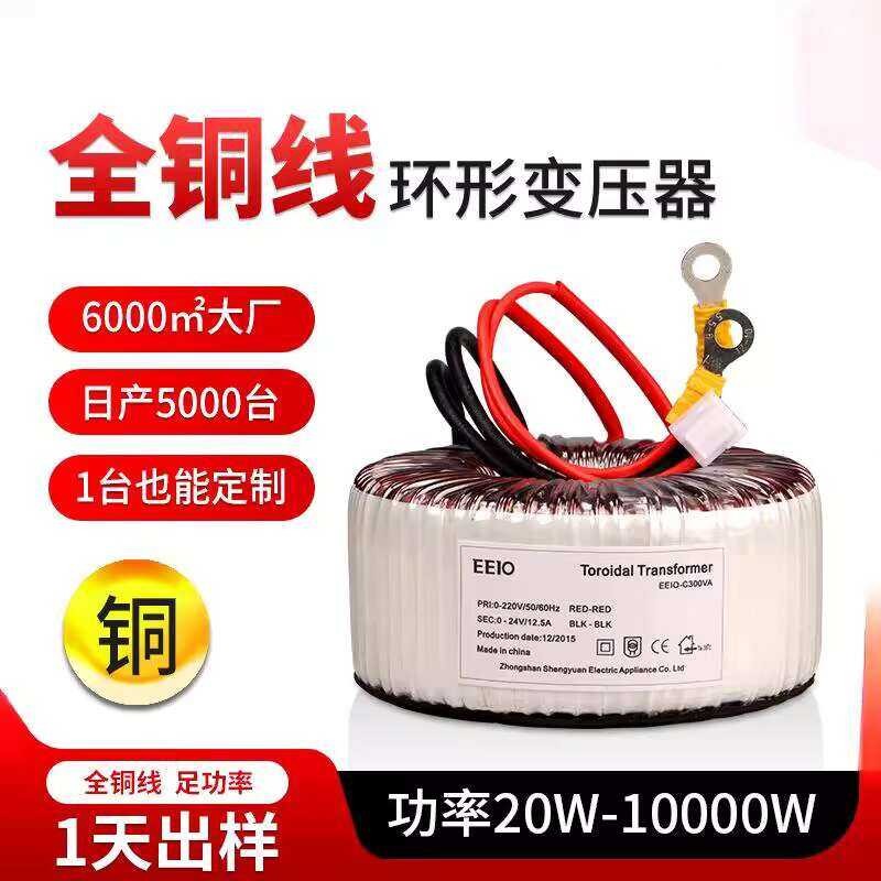 Isolation Toroidal Transformer 220V to 24V High Audiophile Toroid Dual ...