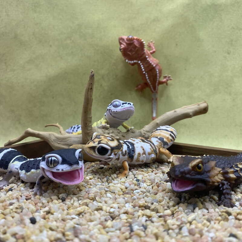 Official Bandai Biological Encyclopedia Gecko Larva Selected Edition ...