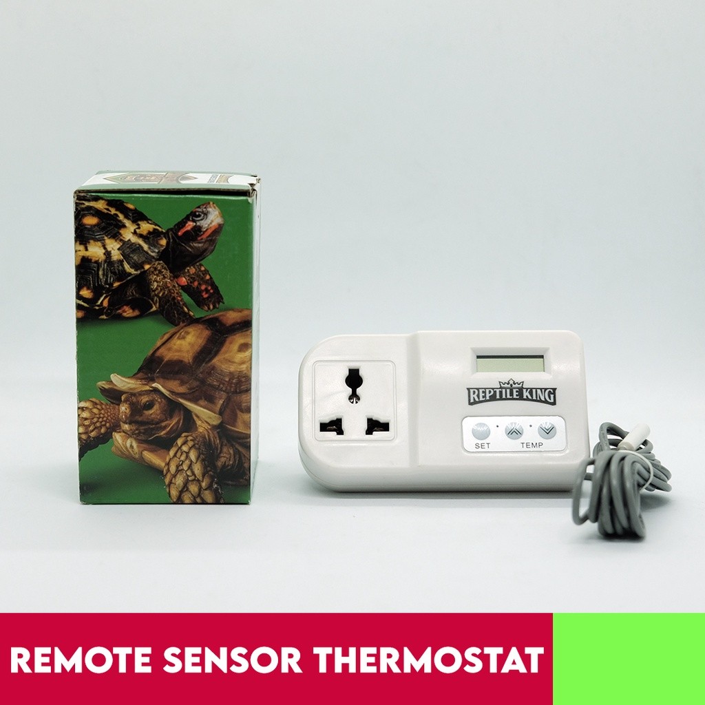 Remote Sensor Thermostat for Tortoise & Reptile With UK Adaptor ...