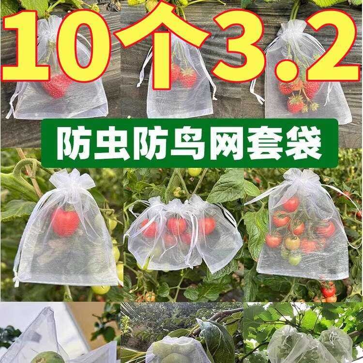 Fruit Net Insect-Proof Bird-Proof Mesh Strawberry Grape Breathable Fig ...