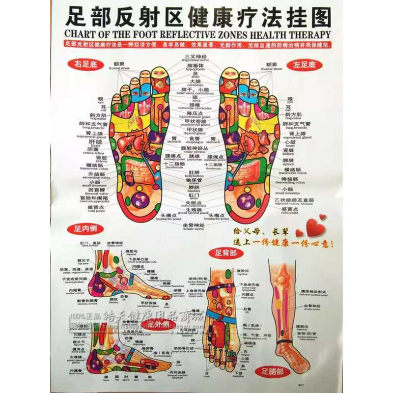 Reflexology Acupoint Reflex Zone Foot Acupuncture Points Meridian Chart ...