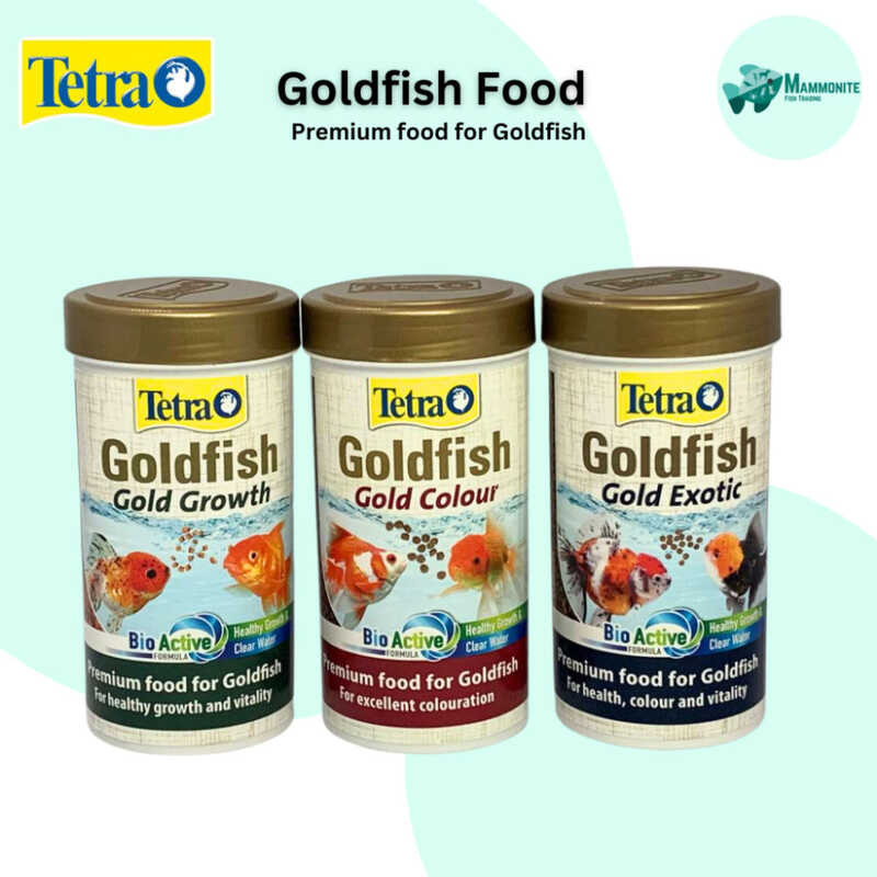 Goldfish Nutrition For Color Development
