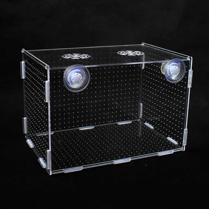 Fish Tank Isolation Box Acrylic Transparent Mini Parrot Peacock ...
