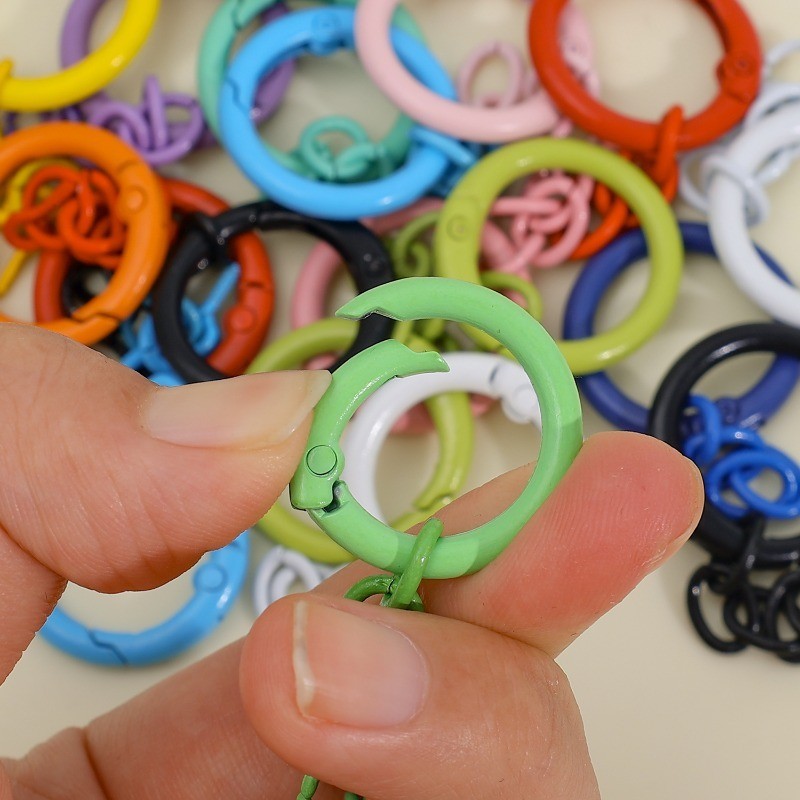 5Pcs Metal O Ring Spring Clasp Keychain Colorful Keyring with Screw Eye ...