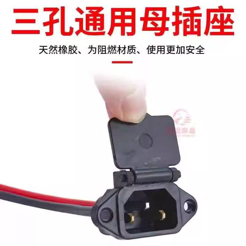 Electric Bike Battery Charger Three-Hole Female Socket Plug Electric ...