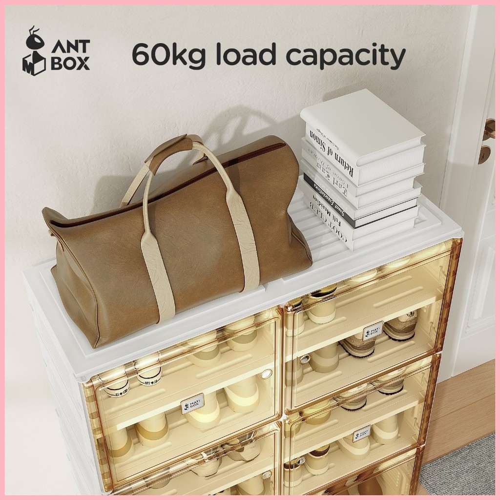ANTBOX Shoe Cabinet 2 Rows 10 Layers 40 Pairs No Installation Needed ...