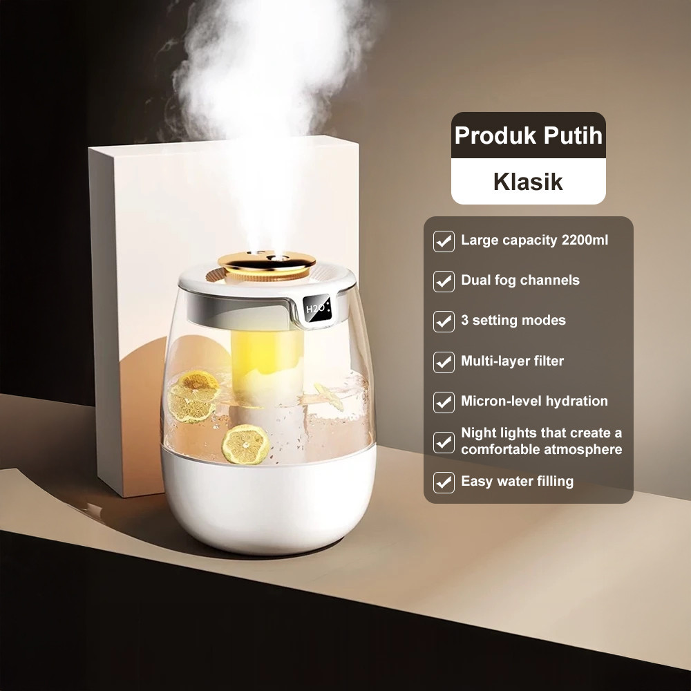 Dual nozzles Air Humidifier Digital Display With 2 LED Light Modes ...