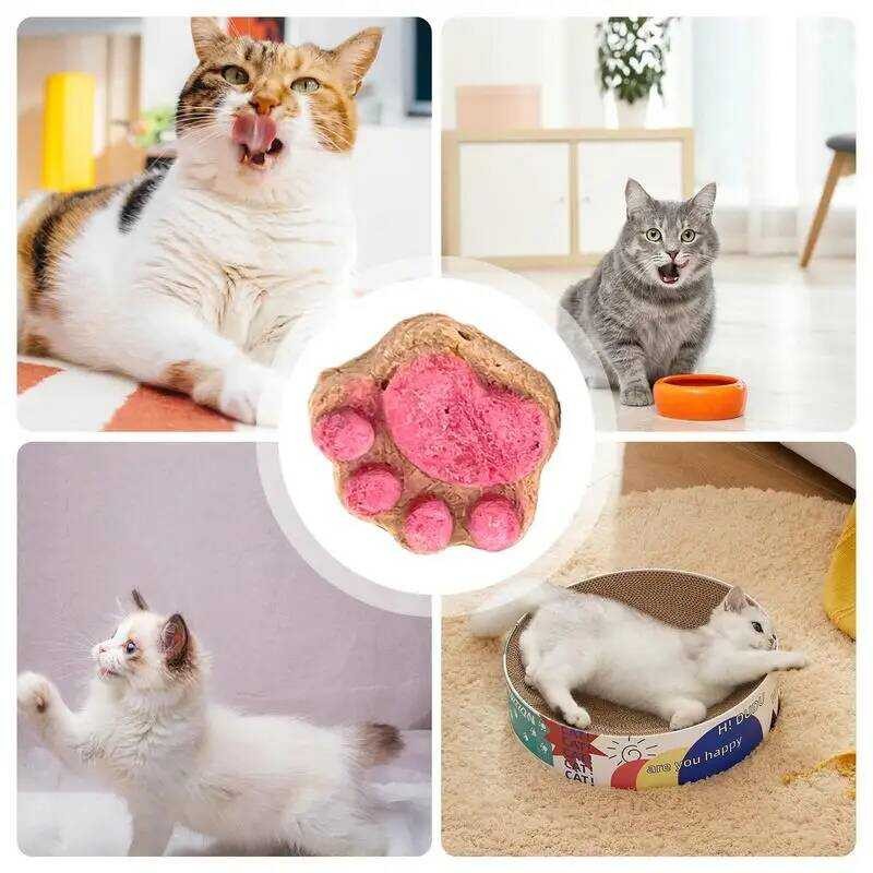 Paw Shape Cat Snack Oral Cleaning Cat Snacks Kitten Treats Paw Shape ...