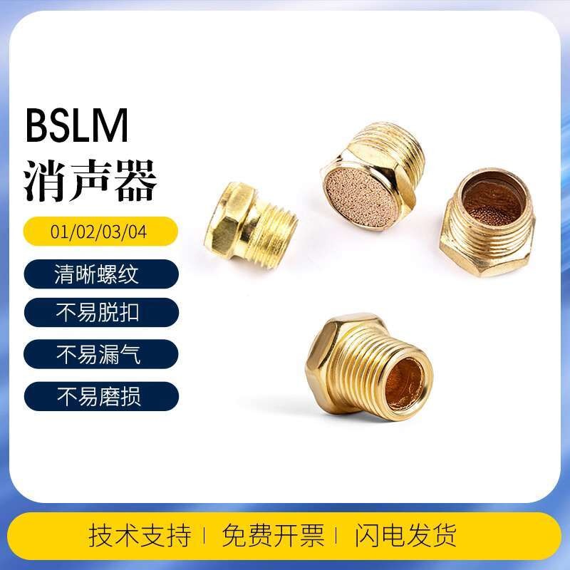 Chint Pneumatic Connector Solenoid Valve Silencer SLM Flat Head ...