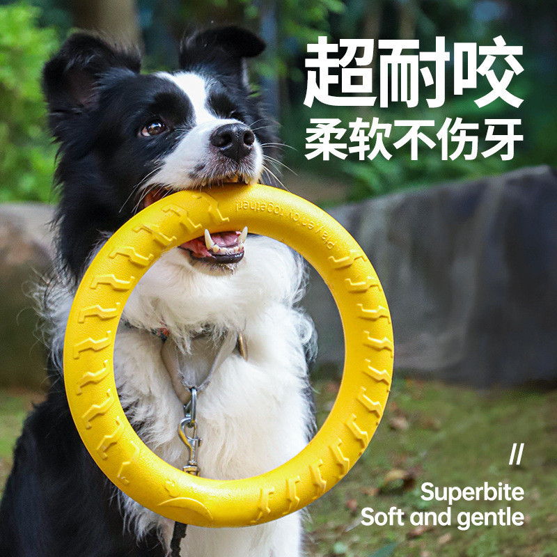 Dog Toy Large Dog Ring Frisbee Border Collie Vocal Pull Ring Teeth ...