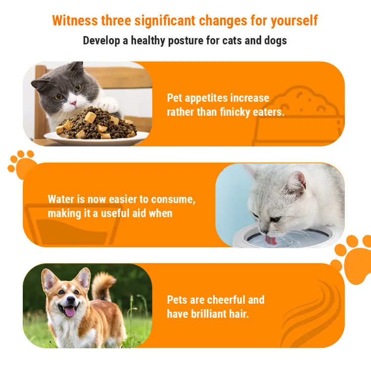 Curated visual reference: Picture Idea: Chicken Powder Appetite Booster Stimulant For Dogs And Cats Picky
