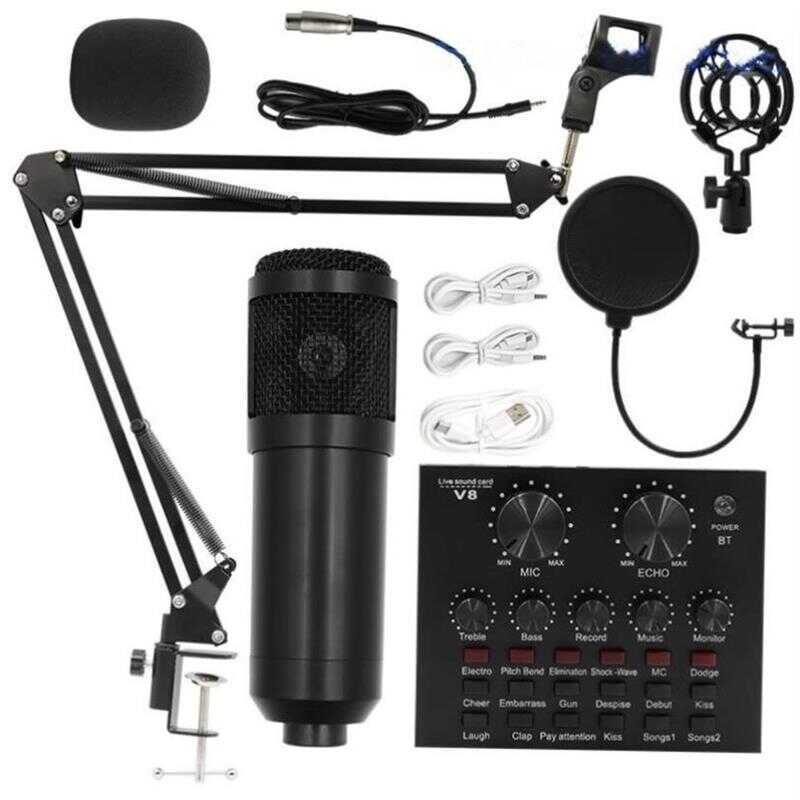 Condenser Bm800 Microphone V8 Sound Card Computer Recording Handheld ...