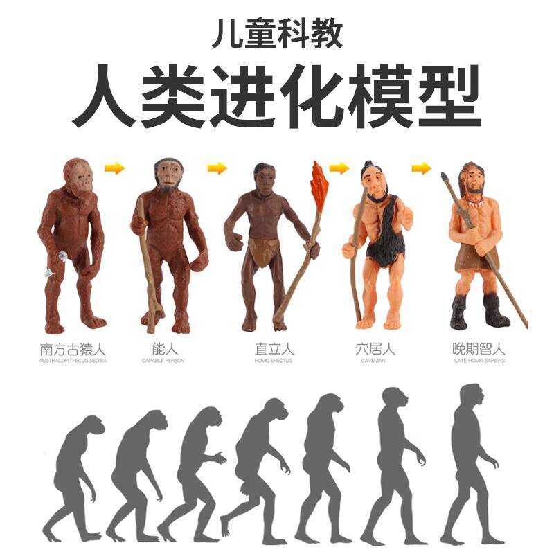 Mini Human Evolution Model Simulation Primitive Man Figurine Wild Ape ...