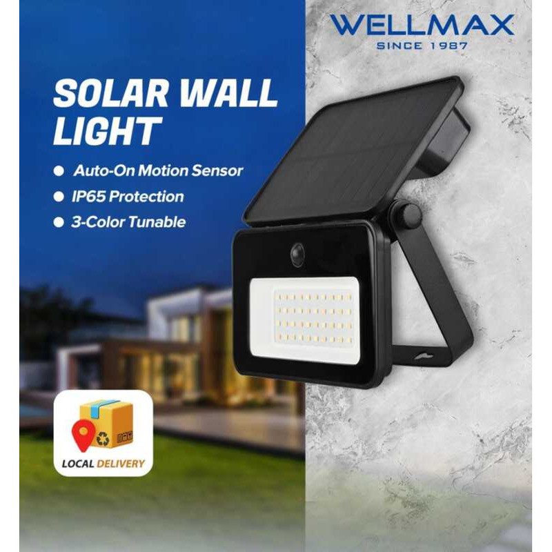 Solar WELLMAX Light 3-Color Dimming Auto-On Motion Sensor Solar ...