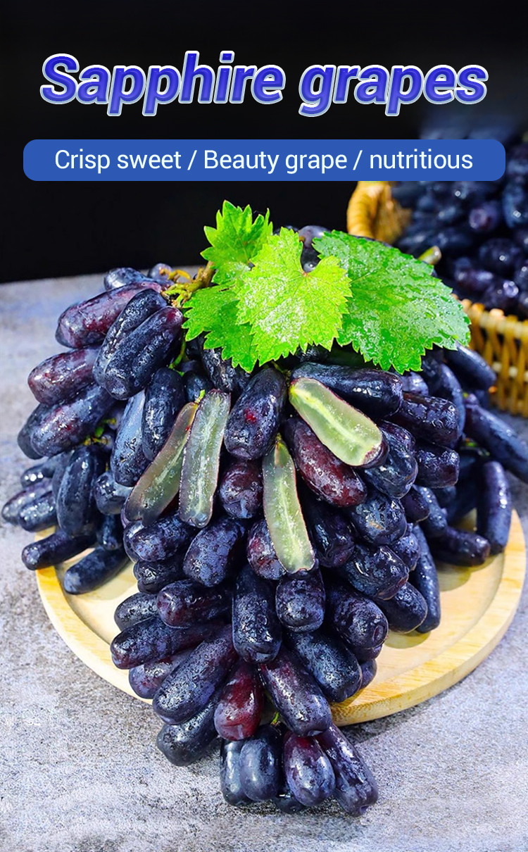 Grape Potted Plants Sapphire Peak Grape Fruit Raisin Red Raisin Fruit ...