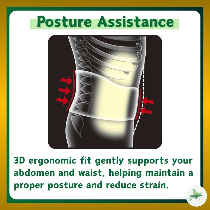 Kowa Vantelin Power Taping Back Supporter: 3D Fit Lower Back Stabilizer ...