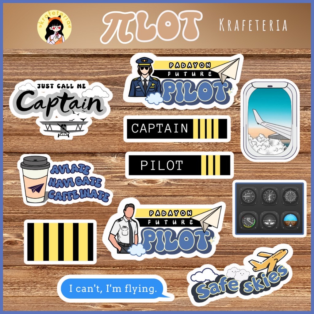 IMPROVED Design] Future Pilot Stickers Vinyl/ Aviation Stickers ...