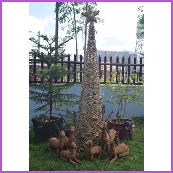 christmas tree native - Best Prices and Online Promos - Oct 2026 ...