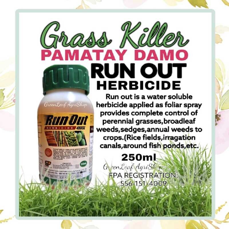 RUN OUT Herbicide Grass Killer Glyphosate 480Sl Foliar Spray/ Kills ...