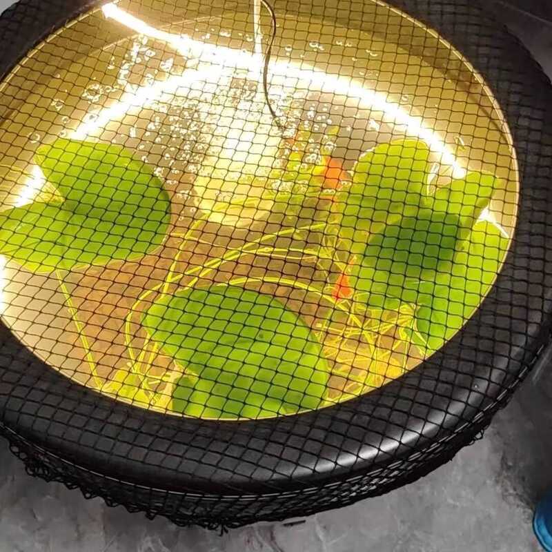 Anti-Jump Turtle Box Tank Anti-Fish Jump Fish Net Cover Rectangular ...