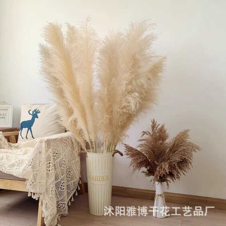 Large Reed Pampas Grass Wedding Scene Decoration Large Reed Dried ...