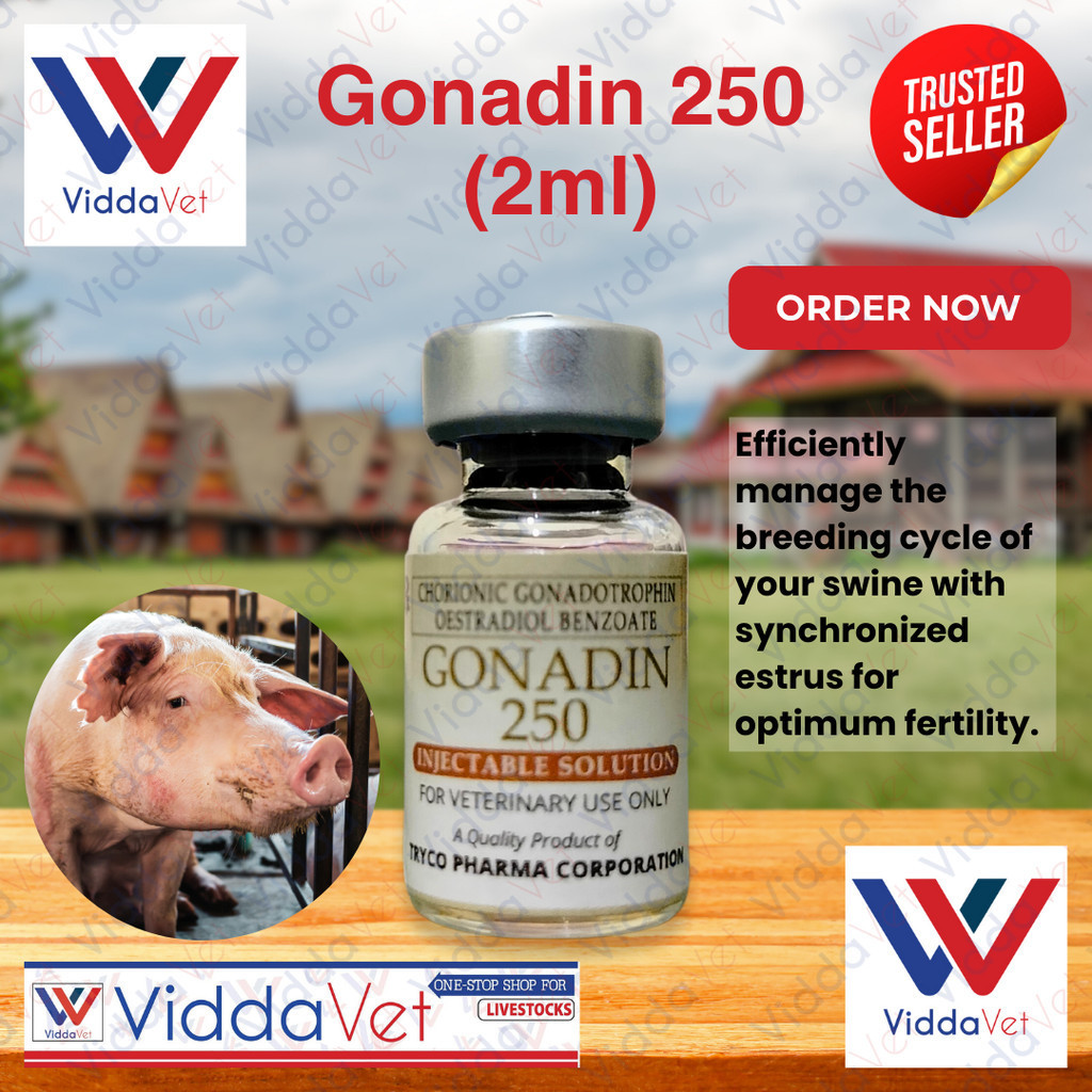 Gonadin 250 (2ml) for pigs Reproductive Support for Animals Fertility ...