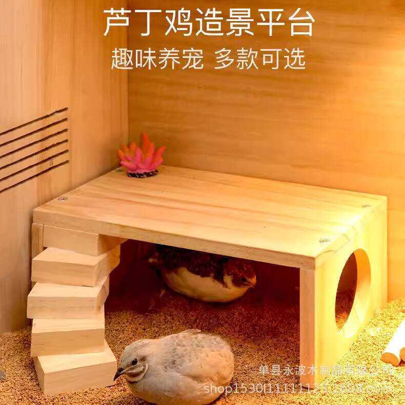 Curated visual reference: Picture Idea: Quail Feeding Platform Decoration Hamster Supplies Full Set Two Layer