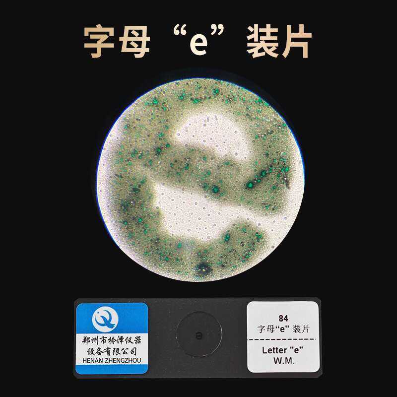 Letter E Mounted Biological Smear Primary Middle High School Biology ...