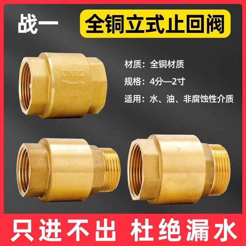 Copper One-Way Boiler Vertical 1/2