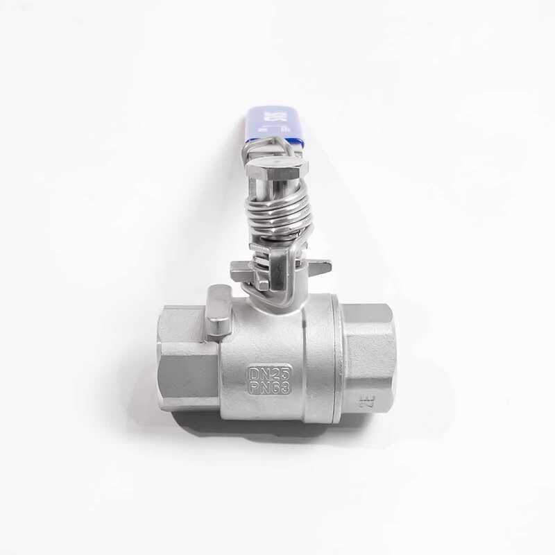 Stainless Steel 316 Spring Return Internal Ball G Thread BSPP Self ...
