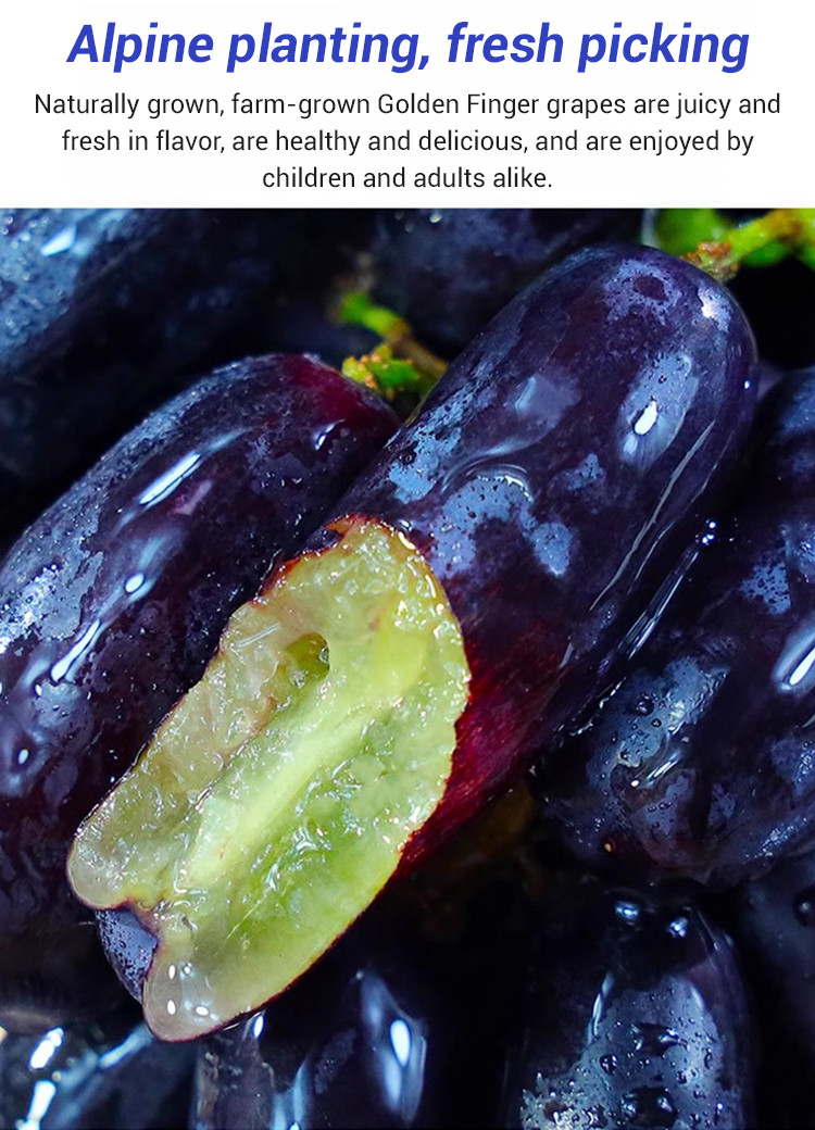 Grape Potted Plants Sapphire Peak Grape Fruit Raisin Red Raisin Fruit ...