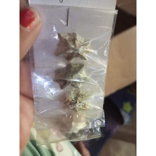 star shell lucky charms (blessed and ritualized) | Shopee Philippines