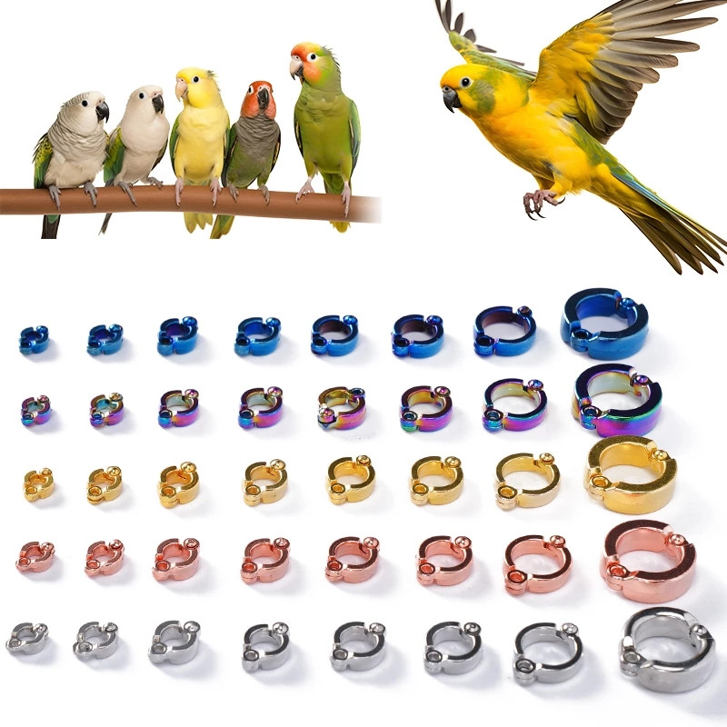 Bird ring Parrot Metal Foot Ring Outdoor Fly Training ring for Birds ...