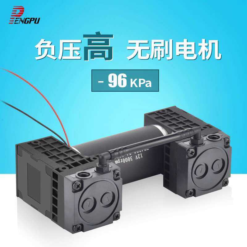 Brushless Micro Vacuum 24V High Negative Pressure S 12V Small Air ...