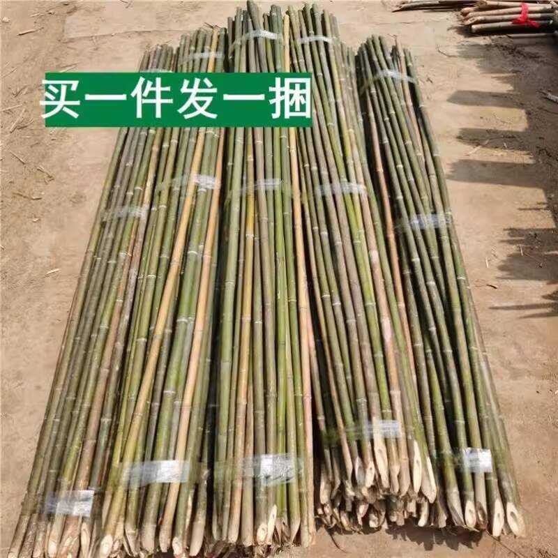 Garden Cucumbers, 3m Stakes for Bean Stands, Small Bamboo Trellises ...