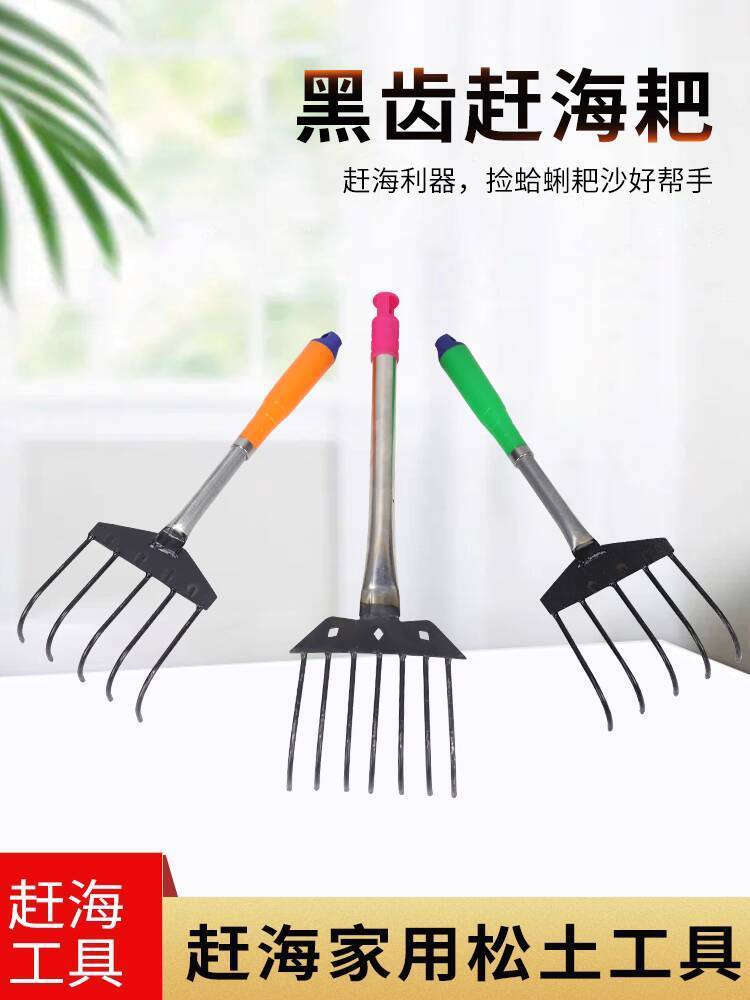 ☑♥ Beachcombing Tool Set: Beach Rake for Seashells, Clams, Oysters ...