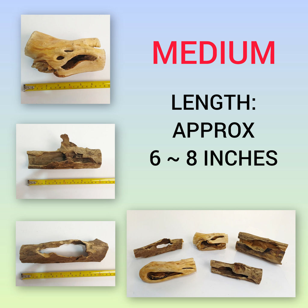 Driftwood Hide Jungle Hide Natural Random Shapes Tarantula Reptile Fish ...