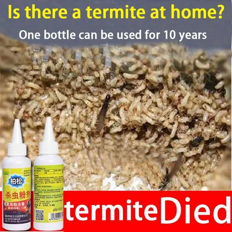100% Effective Termite Killer 75G Solution Odorless Baiting System Anti ...