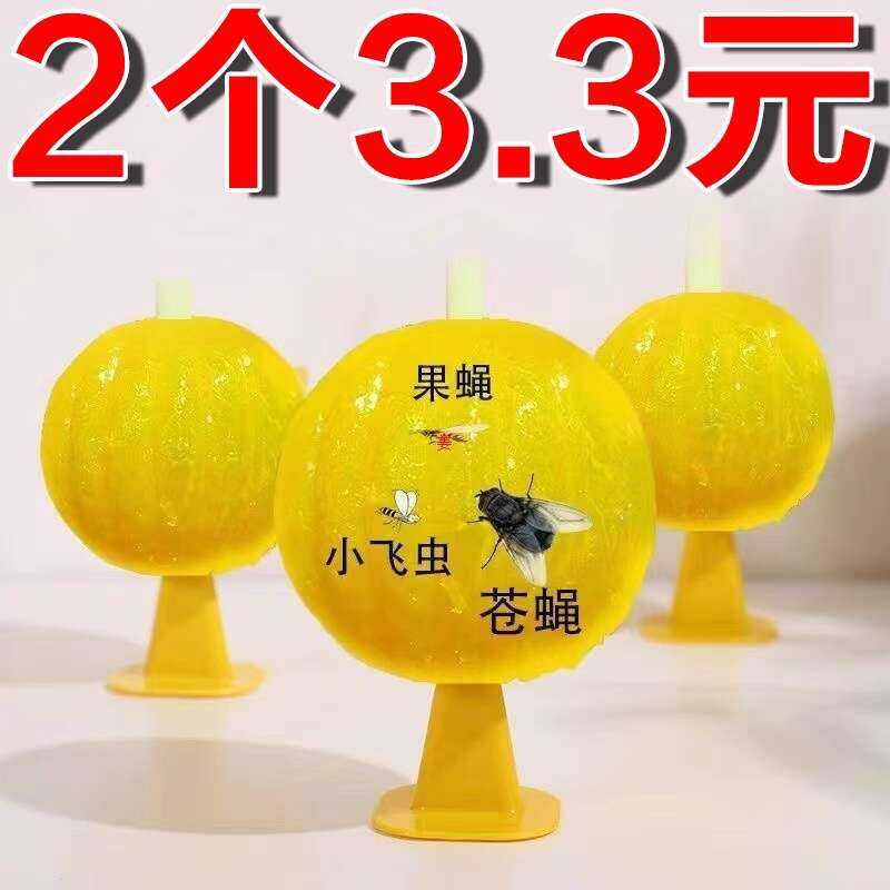 Fruit Small Flying Insect Killer Indoor Mosquito Remover Kitchen Gnats ...