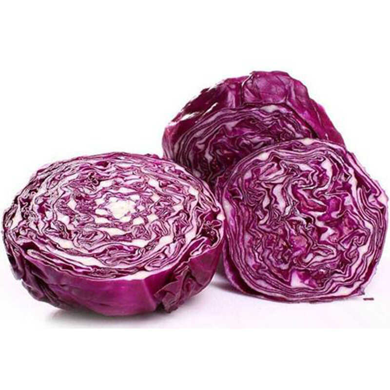 Purple Cabbage Early-Maturing Purplish Red Vegetable Seed For Garden ...
