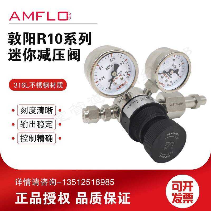 AMFLO Dunyang 316L Stainless Steel R10 Mini Single Stage Pressure ...
